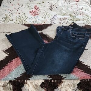 Democracy Ab Technology Dark Blue Jeans